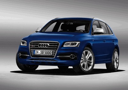 2013 Audi SQ5 TDI 1