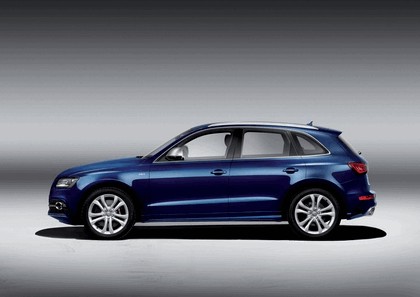 2013 Audi SQ5 TDI 5