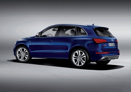 2013 Audi SQ5 TDI 6