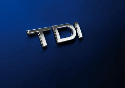 2013 Audi SQ5 TDI 14