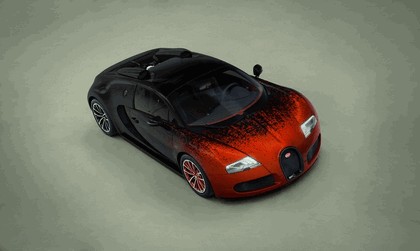 2012 Bugatti Veyron 16.4 Grand Sport by Bernar Venet 4