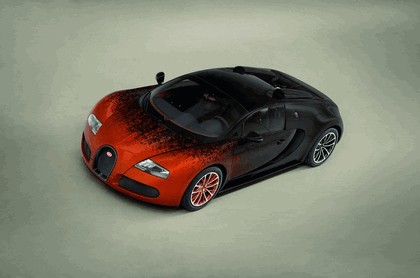 2012 Bugatti Veyron 16.4 Grand Sport by Bernar Venet 7