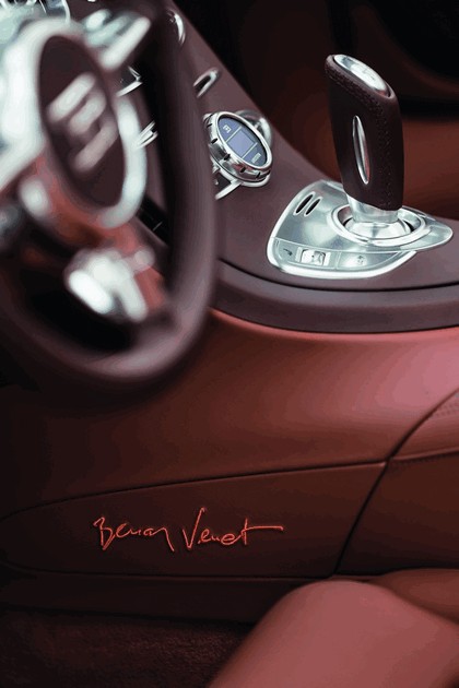 2012 Bugatti Veyron 16.4 Grand Sport by Bernar Venet 17