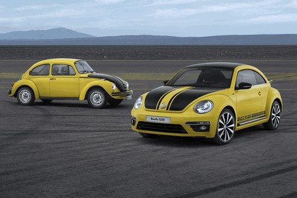 2013 Volkswagen Beetle GSR Limited Edition 4