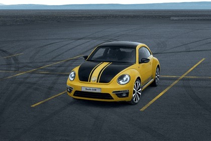 2013 Volkswagen Beetle GSR Limited Edition 7