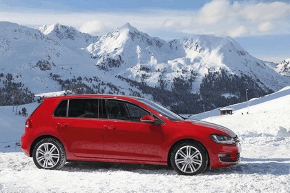 2013 Volkswagen Golf ( VII ) 4Motion 2