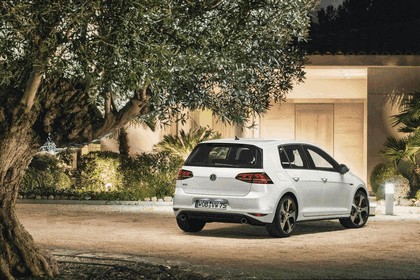 2013 Volkswagen Golf ( VII ) GTI 20