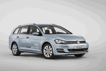 2013 Volkswagen Golf ( VII ) Variant TSI BlueMotion 10