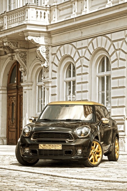 2013 Mini Paceman Cooper S by Roberto Cavalli for Life Ball 4