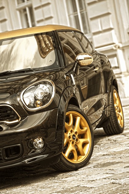 2013 Mini Paceman Cooper S by Roberto Cavalli for Life Ball 7