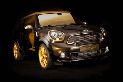 2013 Mini Paceman Cooper S by Roberto Cavalli for Life Ball 8