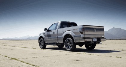 2013 Ford F-150 Tremor 14