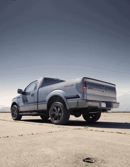 2013 Ford F-150 Tremor 15