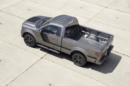 2013 Ford F-150 Tremor 19