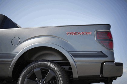 2013 Ford F-150 Tremor 23