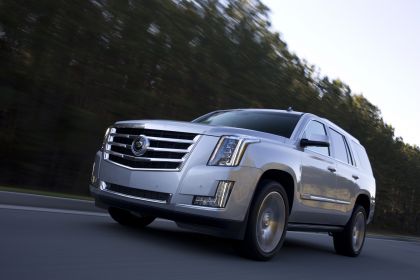 2015 Cadillac Escalade 30