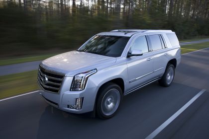 2015 Cadillac Escalade 31