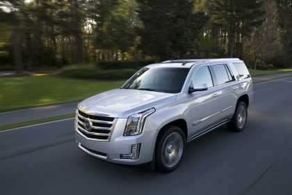 2015 Cadillac Escalade 33