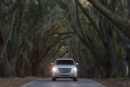 2015 Cadillac Escalade 43