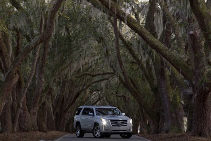 2015 Cadillac Escalade 44