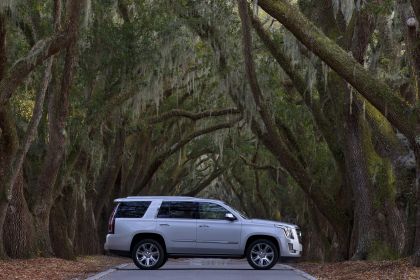 2015 Cadillac Escalade 45