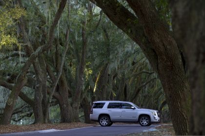 2015 Cadillac Escalade 47