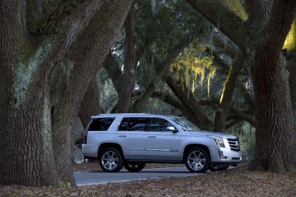 2015 Cadillac Escalade 48