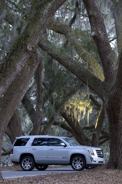 2015 Cadillac Escalade 49