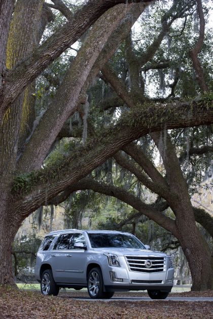 2015 Cadillac Escalade 50