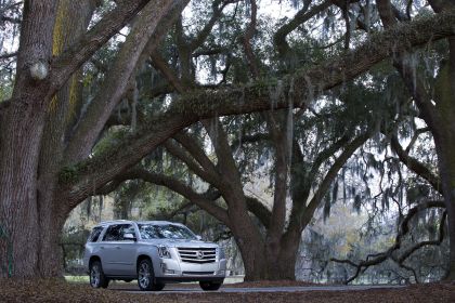 2015 Cadillac Escalade 51