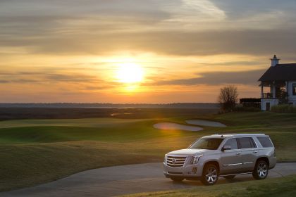 2015 Cadillac Escalade 53