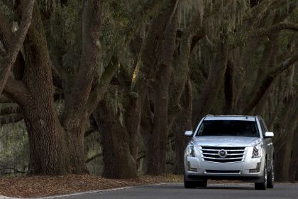 2015 Cadillac Escalade 61