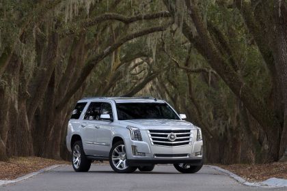 2015 Cadillac Escalade 63