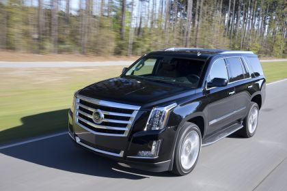 2015 Cadillac Escalade 95