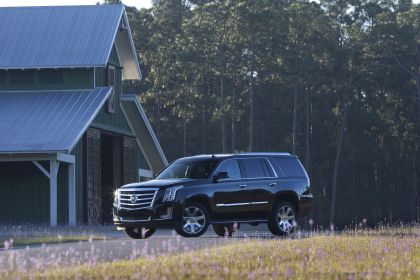 2015 Cadillac Escalade 101