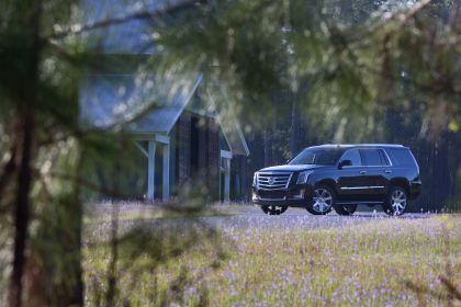 2015 Cadillac Escalade 103