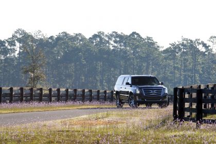 2015 Cadillac Escalade 104