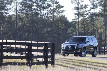 2015 Cadillac Escalade 105