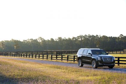 2015 Cadillac Escalade 110