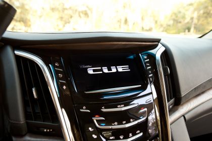 2015 Cadillac Escalade 119