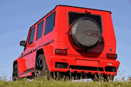 2013 Mercedes-Benz G63 ( W463 ) AMG by German Special Customs 4