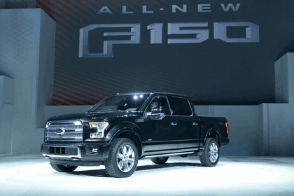 2014 Ford F-150 29