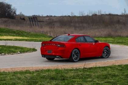 2015 Dodge Charger 8