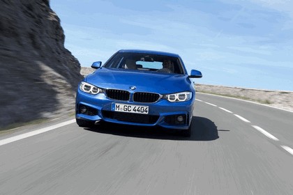 2014 BMW 428i Gran Coupé M Sport 25