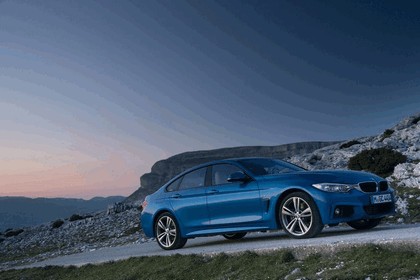 2014 BMW 428i Gran Coupé M Sport 36