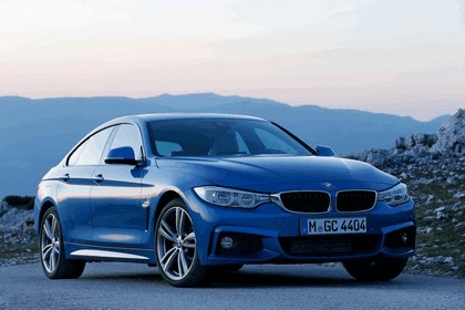 2014 BMW 428i Gran Coupé M Sport 42