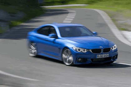 2014 BMW 428i Gran Coupé M Sport 48