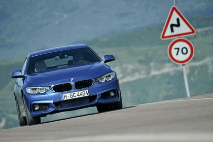 2014 BMW 428i Gran Coupé M Sport 53