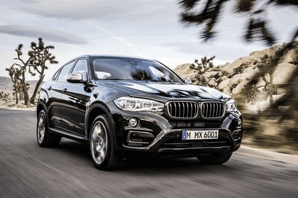 2014 BMW X6 ( F16 ) xDrive50i 13