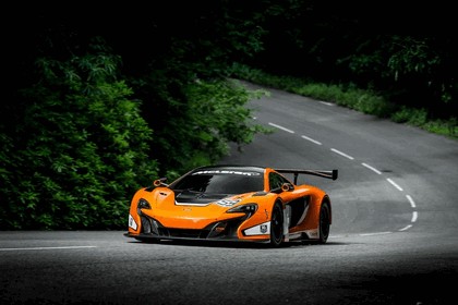 2014 McLaren 650S GT3 11